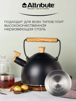 Чайник BLACKWOOD 2.5л со свистком