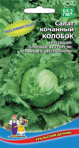 Салат КОЛОБОК  Сортотип Айсберг! Маслянистый! Хрустящий! Плотный! Без горечи! Устойчив к стрелкованию!