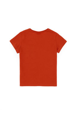 Футболка с плиткой для мальчика - U.s. polo assn фото 2