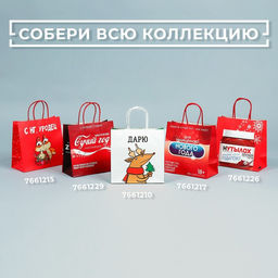Пакет подарочный Защищенный Новый год, 22 22 11 см - Дарите счастье фото 7