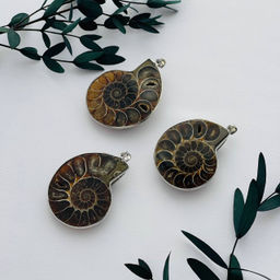 Кулон Аммонит - Радуга самоцветов фото 2