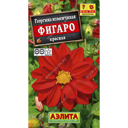 Георгина Фигаро красный махровый 7шт. (Аэлита)