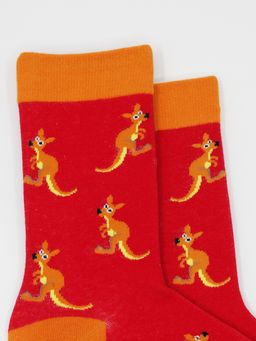 Носки р.35-40 Кенгуру - Krumpy фото 3