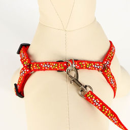 Комплект Звёздные косточки, поводок 120 х 1 см, ОГ 23-35 см, красный - Пижон фото 4