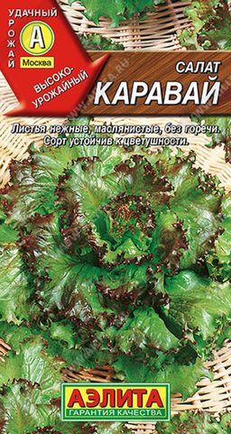 Салат Каравай листовой