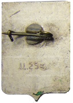 Значок Демянск