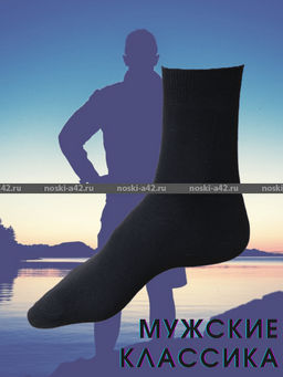Цена за 10 пар. Легион носки мужские АССОРТИ 27  фото 2