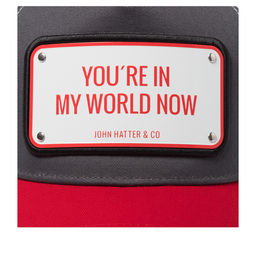 Бейсболка JOHN HATTER арт. 1-1071-U00 You Are In My World Now (серый / красный)  фото 4