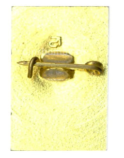 Значок Петродворец