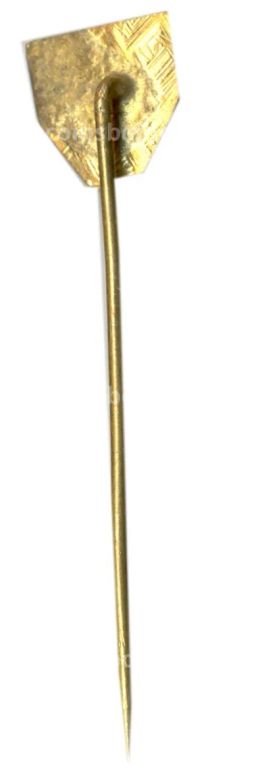 Значок Кошице (Словакия)