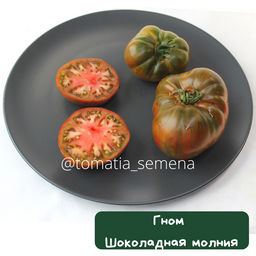 Гном Шоколадная молния - Tomatia фото 2