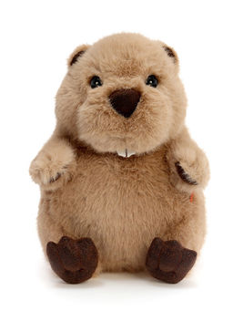 Мягкая игрушка "Бобёр Бобрик", 22 см OT8036/22