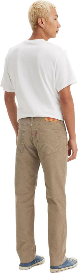 Брюки мужские