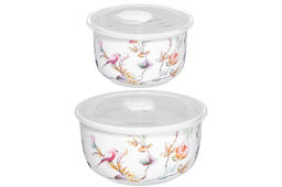 Набор 2 салатников 500 мл 13,5*13,5*7 см + 300 мл 10,5*10,5*6,5 см Певчие птички с крышк. NEW BONE - Elan gallery фото 9