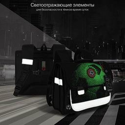 RAp-781-2 Рюкзак школьный с обвесом и картхолдером на держателе