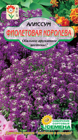 Фиолетовая королева алиссум 0,1г (ссс)