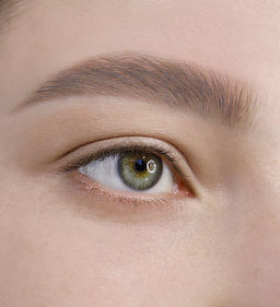 LuxVisage Гель-тинт для бровей водостойкий BROW TINT waterproof 24H тон 101 Taupe 5г