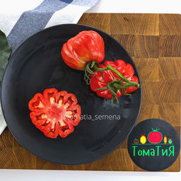 Аккордеон розовый - Tomatia фото 2