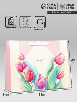 Пакет подарочный ламинированный горизонтальный Лучшей, L 40?31?14 см