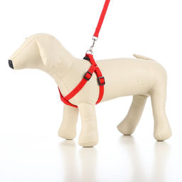 Комплект Базис, поводок 120 х 1,5 см, ОГ 32-46 см, красный - Пижон фото 6