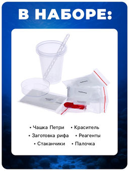 Набор для опытов Коралловый риф, Фиксики  фото 9