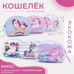 Цена за 2 шт. Кошелёк на молнии «Выбражулька», МИКС