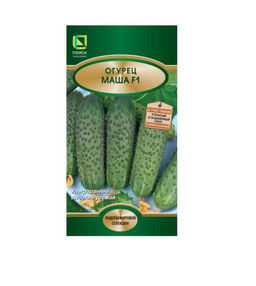 Огурец Маша F1 - ультраранний высокий урожай, 5 семян в упаковке