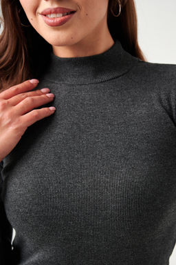 52713 Водолазка женская