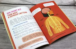Книга о теле человека с полезными заданиями и упражнениями - Эксмо фото 7