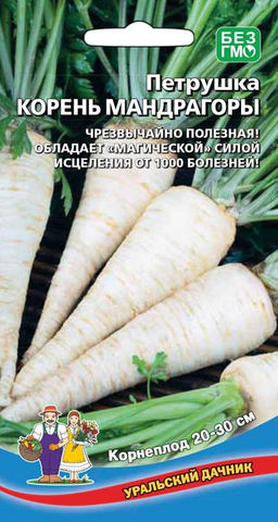 Петрушка корневая КОРЕНЬ МАНДРАГОРЫ  Чрезвычайно полезная! Обладает магической силой исцеления от 1000 болезней!