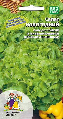 Салат НОВОГОДНИЙ  Можно выращивать круглый год! Приятная, маслянистая консистенция! Холодостойкий и теневыносливый!