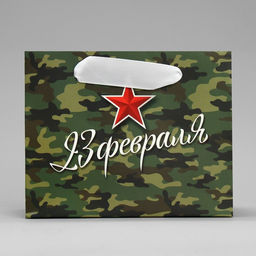 Цена за 3 шт. Пакет подарочный ламинированный, упаковка, С 23 февраля, S 15?12?5.5 см