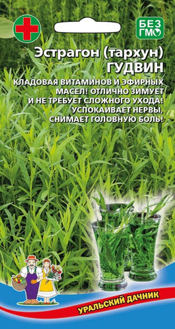 Эстрагон ГУДВИН  Богатый вкус и аромат!