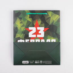 Цена за 2 шт. Пакет подарочный ламинированный, упаковка, «С 23 февраля», ML 23×27×11.5 см