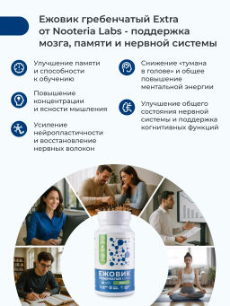 Ежовик гребенчатый