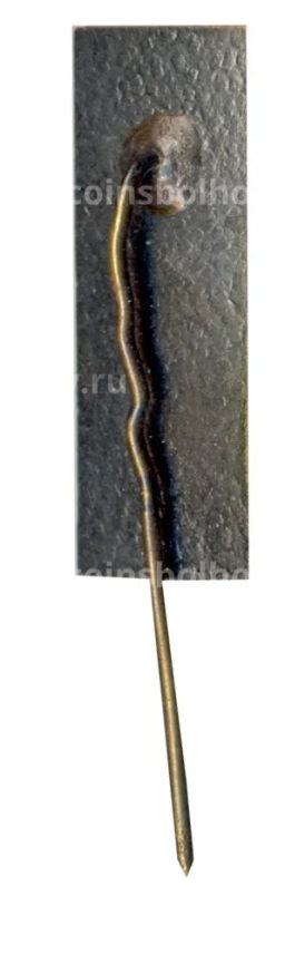 Значок Рига