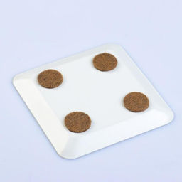 Подсвечник плоский «Тарелка квадро», металл, 10×10×1.1 см, белый