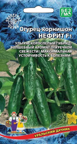 Огурец НЕФРИТ F1 Ультраскороспелый гибрид! Волшебный аромат огуречной свежести! Максимальная устойчивость к болезни!