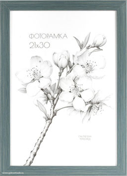 Фоторамка 21x30 / XY1911W-462 /,ф