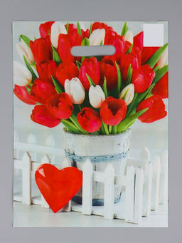 Цена за 50 шт. Пакет подарочный Белиция, полиэтиленовый с вырубной ручкой, 31?40 см, 60 мкм