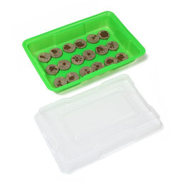 Мини - парник для рассады: торфяная таблетка d=4.2 см (18 шт.), парник 36×25 см, зелёный