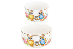 Набор 2 салатников - 13*13*6,5 см 560 мл+10,5*10,5*6 см 260 мл Совушки с плас.крыш. NEW BONE CHINA - Elan gallery фото 9