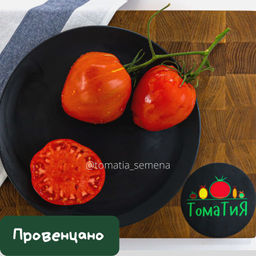 Провенцано - Tomatia фото 2