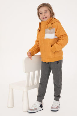 Erkek _ocuk Hardal Mont