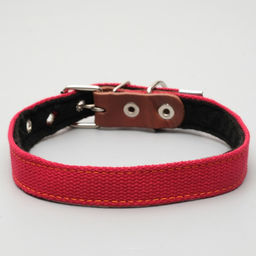Ошейник брезентовый с подкладом, 57 х 2,5 см, ОШ 35-45 см, красный - Пижон фото 2