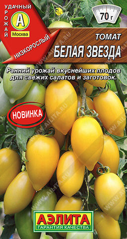 0895A Томат Белая звезда 20шт