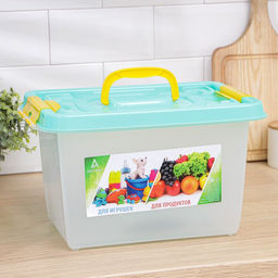 Контейнер для хранения с крышкой, 10 л, 35.9×24.2×21.1 см, прямоугольный, прозрачный, зелёный