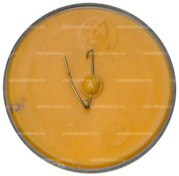 Значок Лошадь породы Вятская