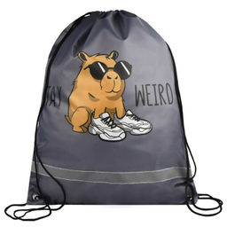 Мешок для сменной обуви Феникс+, арт.69194/ 24 ЧУДНАЯ КАПИБАРА