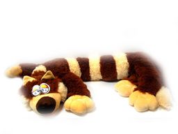 Кот Багет (Белоруссия)